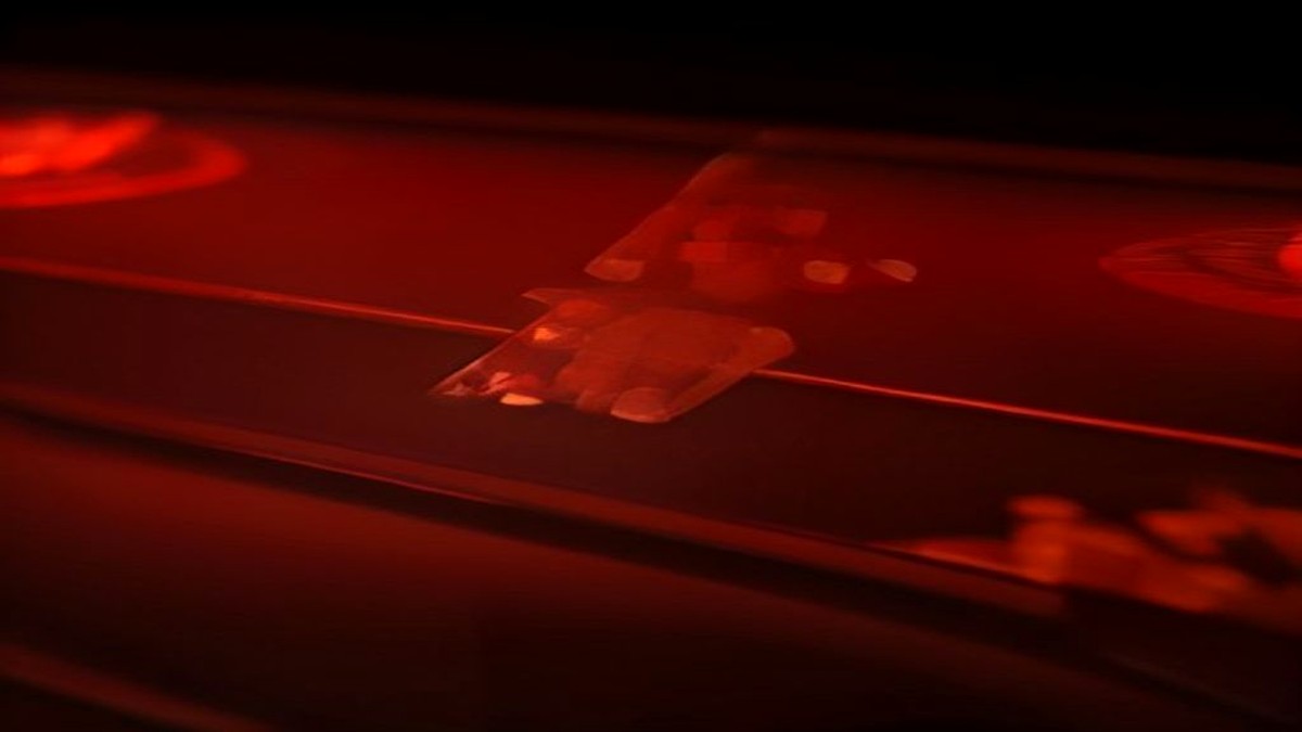Canadian Online Casino Sign Up Bonus No Deposit