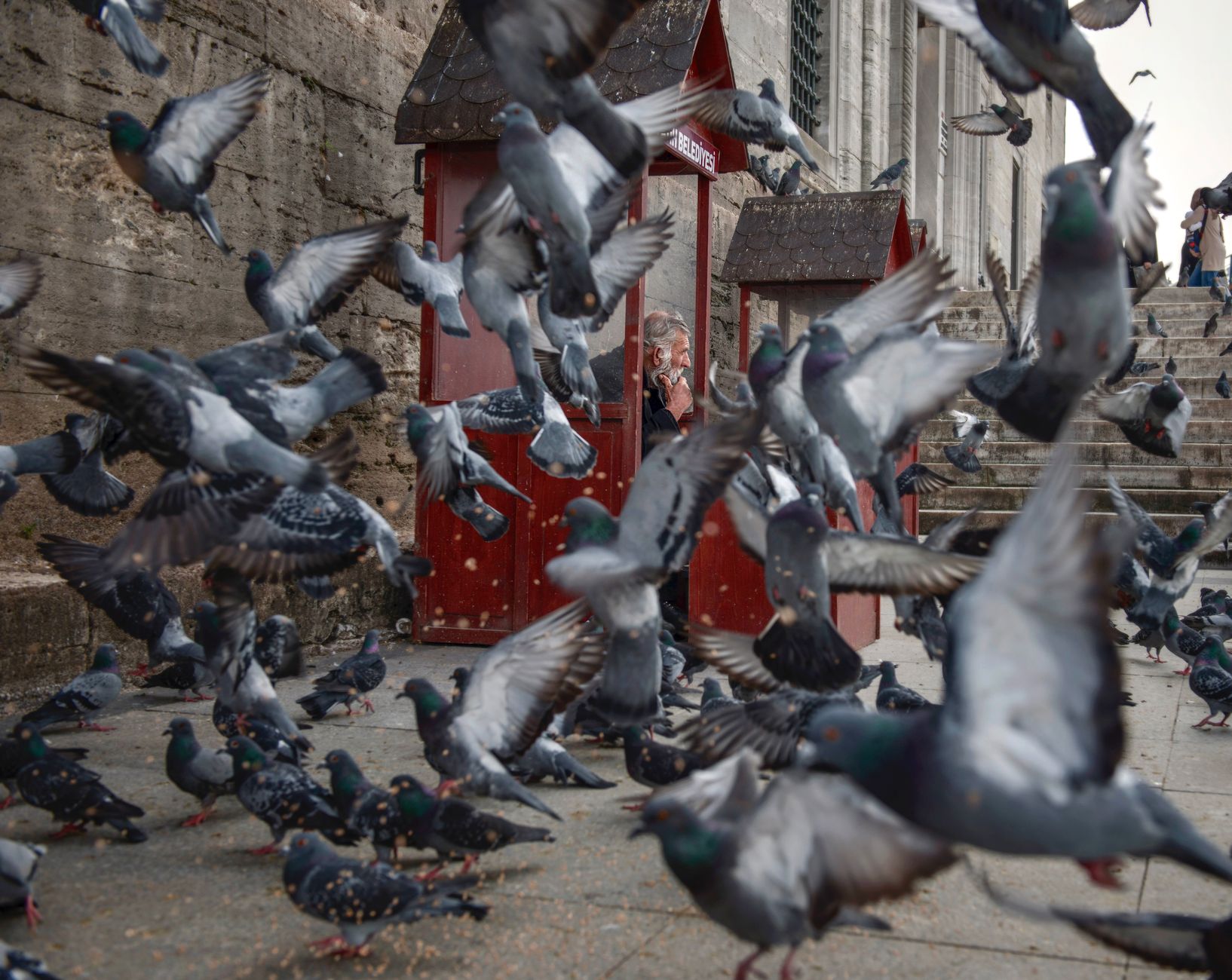 Tyson's BIZARRE Pigeon Ad: HUGE Casino Buzz Hitting Canada!